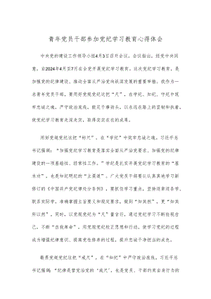 青年党员干部参加党纪学习教育心得体会.docx