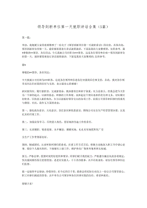 （5篇）领导到新单位第一天就职讲话合集.docx