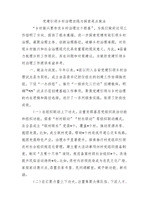 党建引领乡村治理实践与探索亮点做法.docx