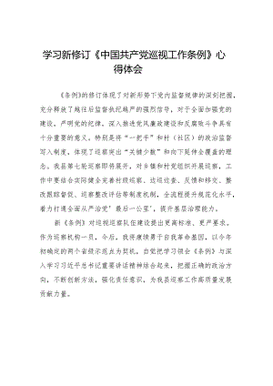 巡察干部学习2024新版中国共产党巡视工作条例的心得体会十九篇.docx