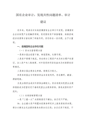 国有企业审计：发现共性问题清单、审计建议.docx