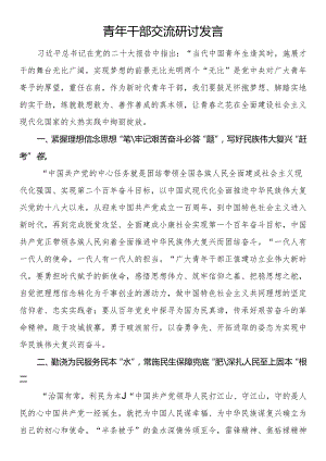 青年干部交流研讨发言.docx