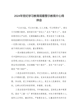 2024年党纪学习教育观看警示教育专题片心得体会发言材料十四篇.docx