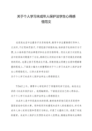 关于个人学习未成年人保护法学生心得感悟范本.docx
