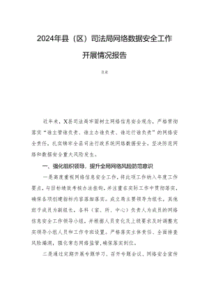 2024年县（区）司法局网络数据安全工作开展情况报告.docx