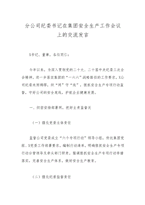 分公司纪委书记在集团安全生产工作会议上的交流发言.docx