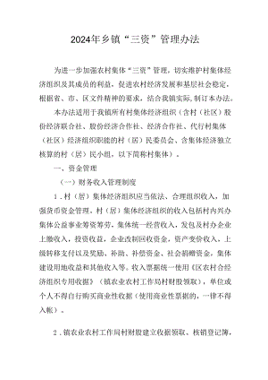 2024年乡镇“三资”管理办法.docx