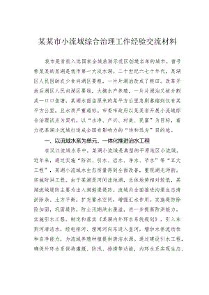 某某市小流域综合治理工作经验交流材料.docx
