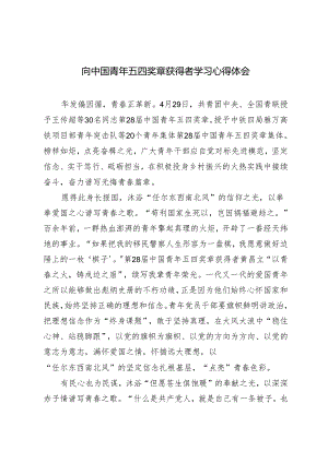 2024年向中国青年五四奖章获得者学习心得体会（3篇）.docx