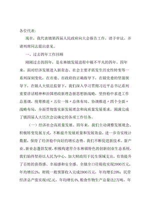 乡镇政府工作报告总结.docx