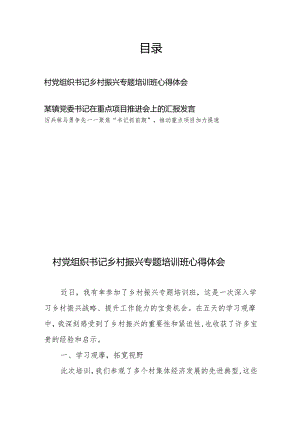 村党组织书记乡村振兴专题培训班心得体会、某镇党委书记在重点项目推进会上的汇报发言.docx