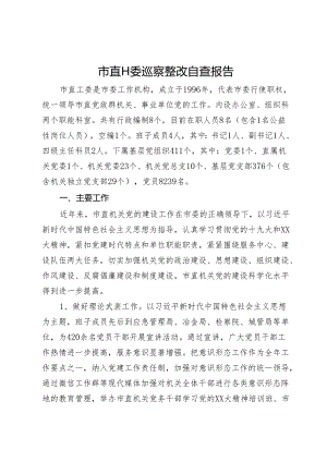 市直工委巡察整改自查报告.docx