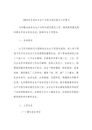 2024年全县安全生产与防灾减灾救灾工作要点.docx