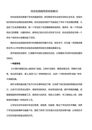 综合实践报告的经验教训.docx