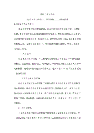 劳动力计划安排.docx