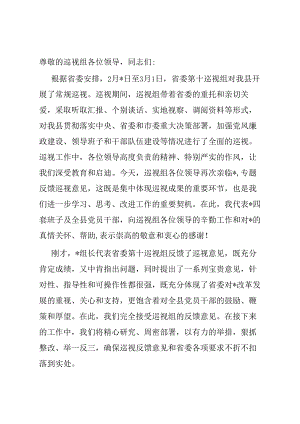 在巡视情况反馈会上的表态发言.docx