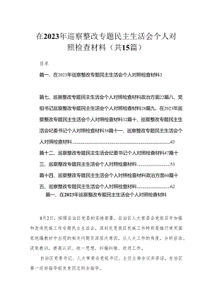 在2023年巡察整改专题民主生活会个人对照检查材料（15篇）.docx