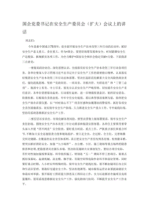 国企党委书记在安全生产委员会（扩大）会议上的讲话.docx
