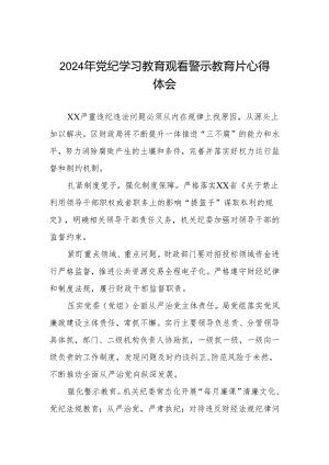 观看2024年党纪学习教育警示教育片心得感悟六篇.docx