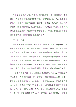 保障粮食安全调研报告.docx