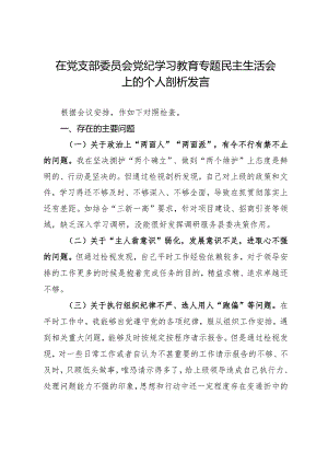 党纪学习教育检视剖析材料：在党支部委员会党纪学习教育专题民主生活会上的个人剖析发言.docx