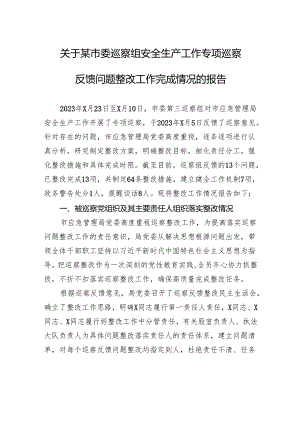 关于某市委巡察组安全生产工作专项巡察反馈问题整改工作完成情况的报告.docx