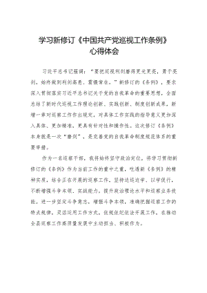 领导干部学习2024版新修订《中国共产党巡视工作条例》心得体会八篇.docx