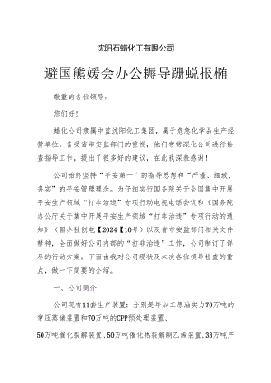 迎接国家安监总局“打非治违”汇报材料(2024.7.18).docx
