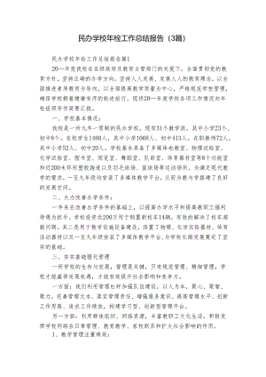 民办学校年检工作总结报告（3篇）.docx