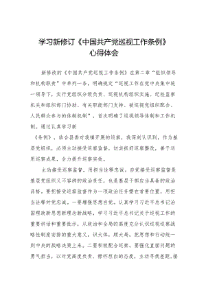 关于2024年新修订《中国共产党巡视工作条例》的心得体会十九篇.docx