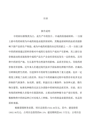 中医药项目招商引资报告.docx