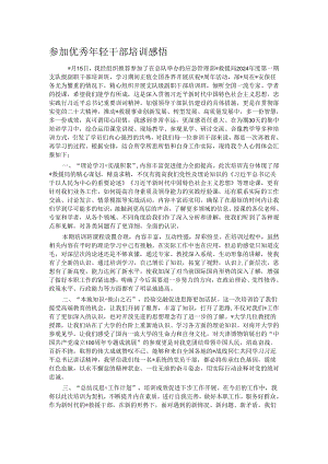参加优秀年轻干部培训感悟.docx