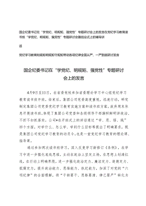 【党纪学习教育】国企纪委书记在“学党纪、明规矩、强党性”专题研讨会上的发言3篇.docx