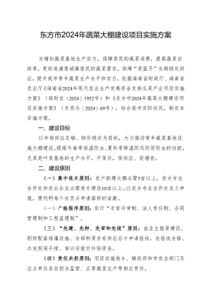 东方市2024年蔬菜大棚建设项目实施方案.docx