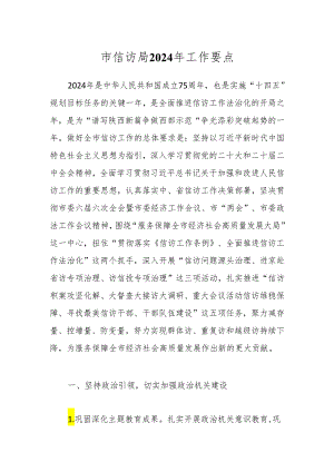 市信访局2024年工作要点.docx