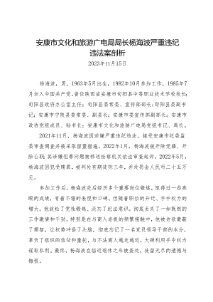案例剖析：安康市文化和旅游广电局局长杨海波严重违纪违法案剖析.docx