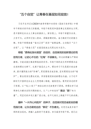 2024年青年党员干部学习“五个自觉” 研讨发言心得体会感想10篇.docx