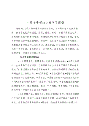 中青年干部培训班学习感悟（心得体会）.docx