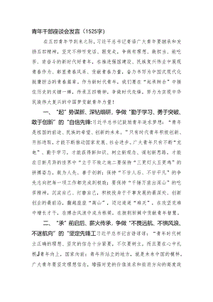 青年干部座谈会发言.docx