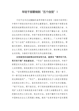 年轻干部青年党员践行“五个自觉”研讨发言心得体会5篇.docx