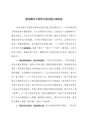 2024年参加青年干部学习培训班心得体会.docx
