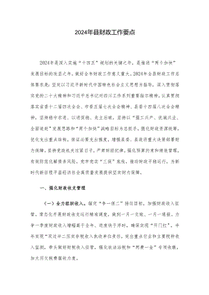 2024年县财政工作要点.docx