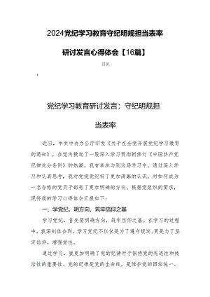 2024党纪学习教育守纪明规担当表率研讨发言心得体会【16篇】.docx