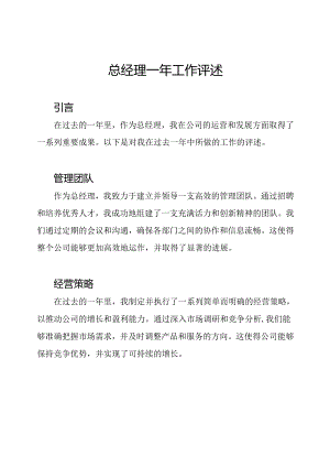 总经理一年工作评述.docx