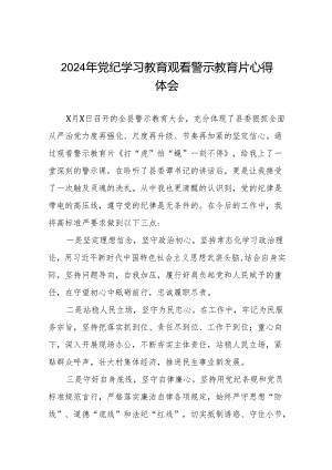 2024年党纪学习教育观看警示教育专题片心得体会发言材料十七篇.docx