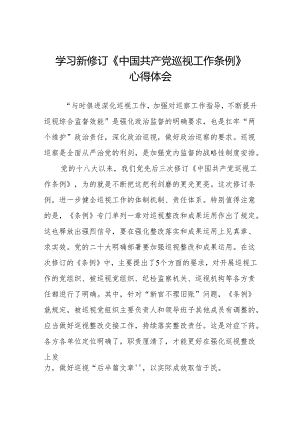 学习贯彻2024版新修订中国共产党巡视工作条例的心得体会两篇.docx