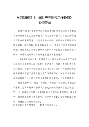 巡察干部学习2024版新修订《中国共产党巡视工作条例》心得体会两篇.docx
