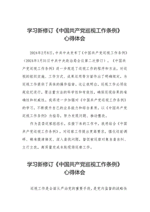 巡察干部学习2024新修订中国共产党巡视工作条例心得体会两篇.docx