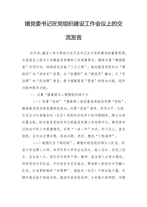 镇党委书记在党组织建设工作会议上的交流发言.docx