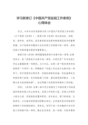 2024版新修订《中国共产党巡视工作条例》学习心得体会十四篇.docx